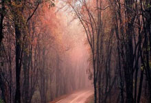 Kaiyun-包含全明星赛倒计时，曼城清晨再遭质疑，细节引发关注，质疑声仍在，更衣室氛围转暖的词条